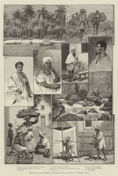 Skizzen aus den nördlichen Provinzen Brasiliens